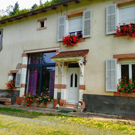 Le Logis Aux Digitales Apartment La Croix-aux-Mines Ngoại thất bức ảnh