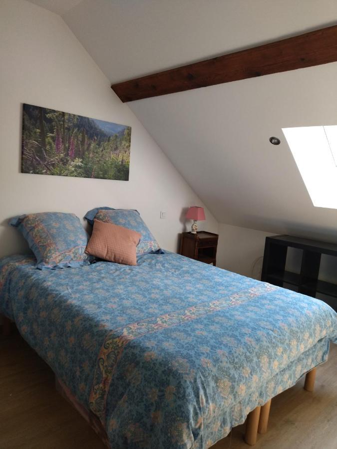 Le Logis Aux Digitales Apartment La Croix-aux-Mines Ngoại thất bức ảnh