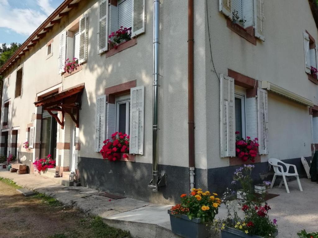 Le Logis Aux Digitales Apartment La Croix-aux-Mines Ngoại thất bức ảnh