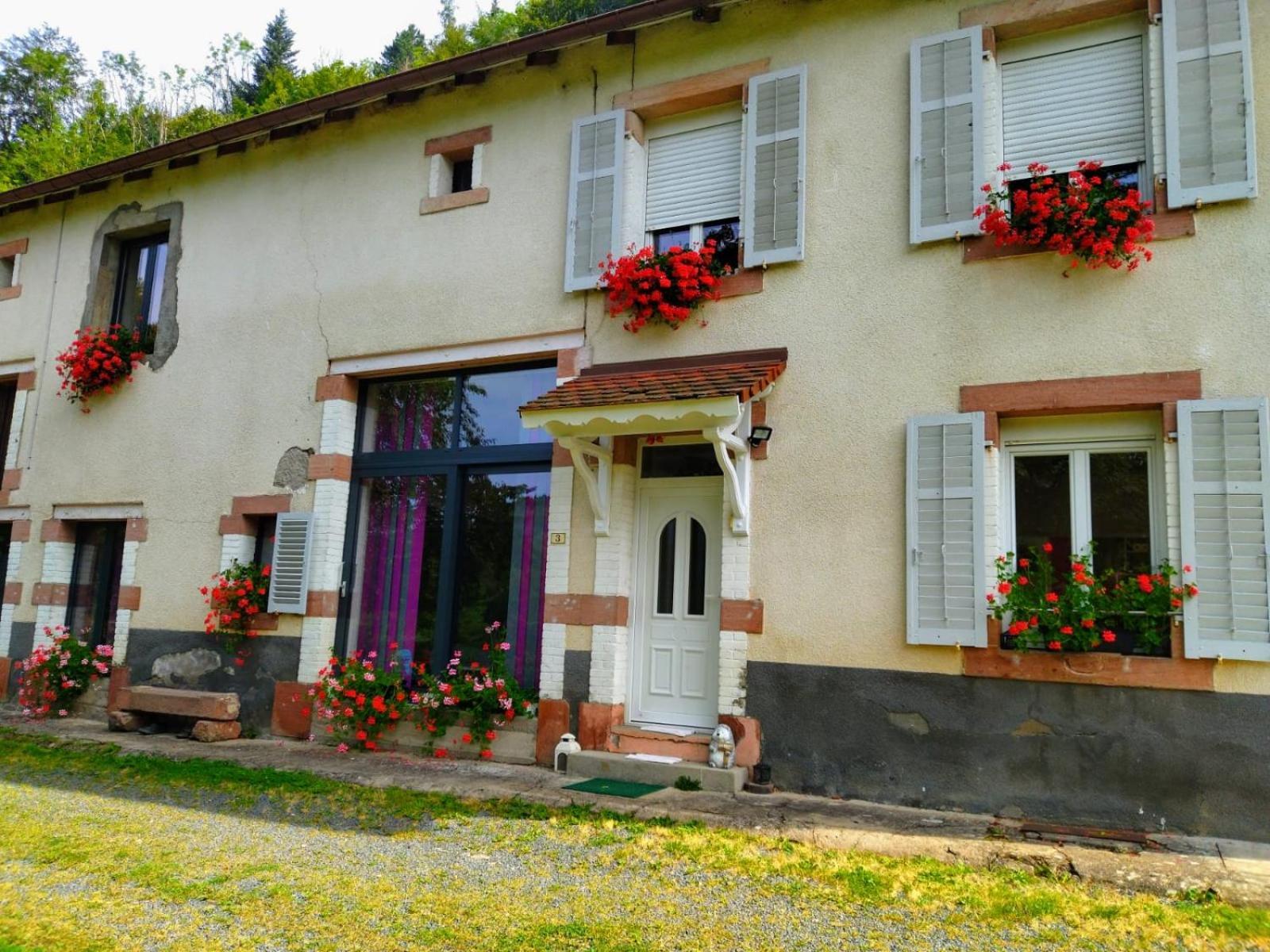 Le Logis Aux Digitales Apartment La Croix-aux-Mines Ngoại thất bức ảnh